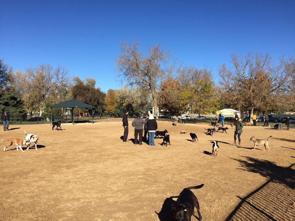 The Best Dog Parks in Denver