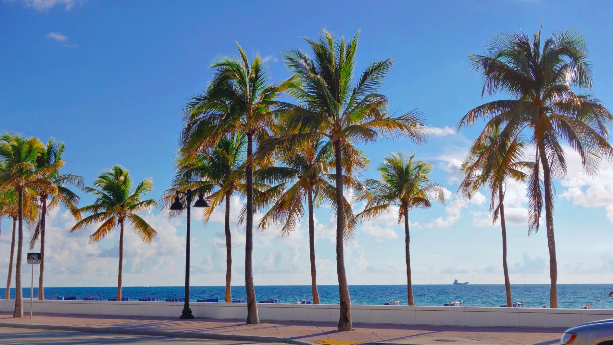 Moving to Fort Lauderdale? Everything You Need to Know