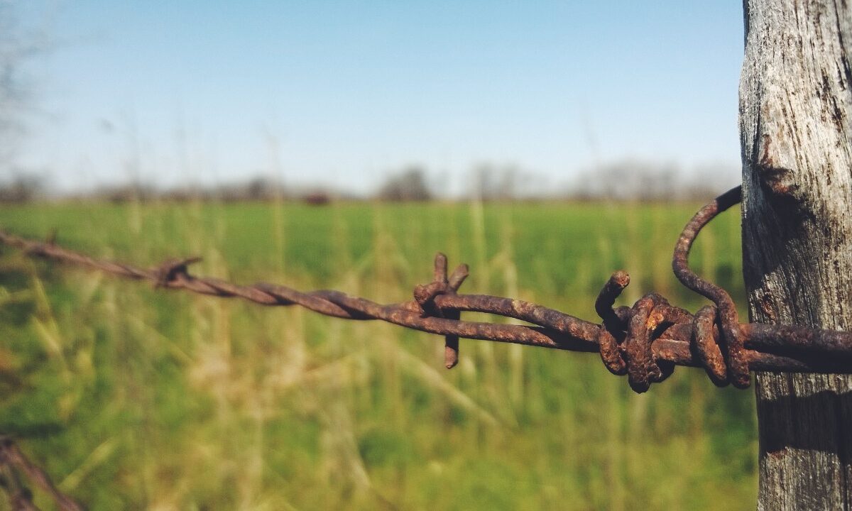 Bar Wire in Frisco, Texas