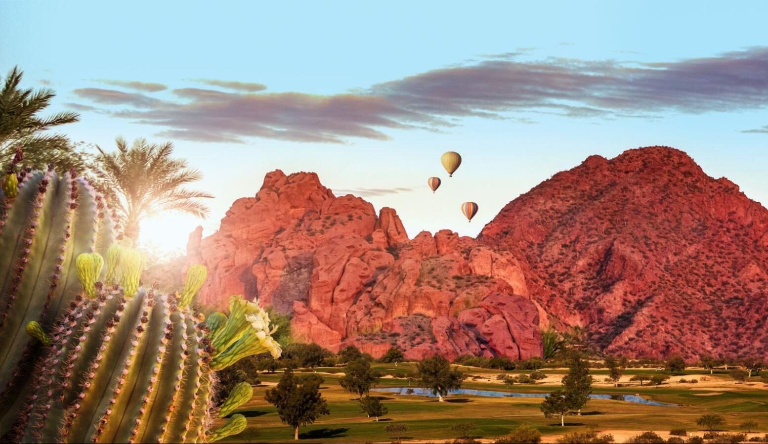 View of hot air balloons in Phoenix, Arizona