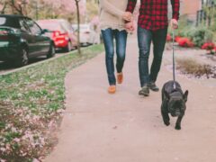 Walking with a dog with Wag!