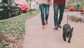 Walking with a dog with Wag!