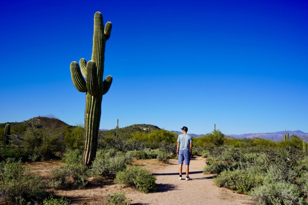 Landing member Max Hilty explores the great outdoors in Phoenix, Arizona