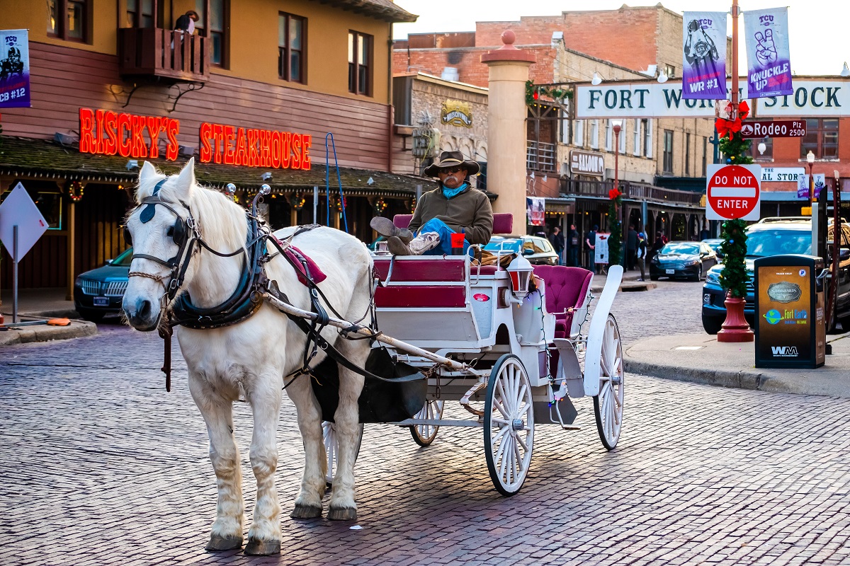 Fun Things to Do in Fort Worth