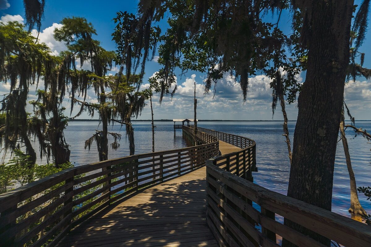 A shot of a dock leading toward the banks of the St. Johns River at Alpine Groves State Park located in Jacksonville, Florida.