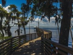 A shot of a dock leading toward the banks of the St. Johns River at Alpine Groves State Park located in Jacksonville, Florida.