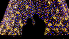 Couple in front of a Christmas tree in Chicago