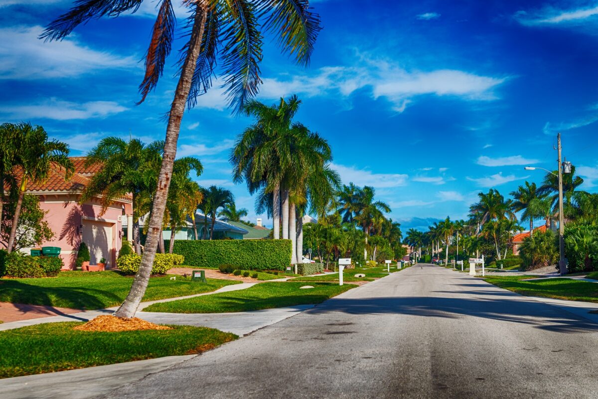 Beautiful street with palm trees and homes in an Orlando, Florida, neighborhood.