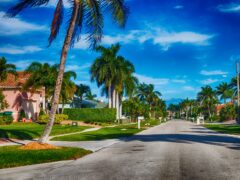 Beautiful street with palm trees and homes in an Orlando, Florida, neighborhood.