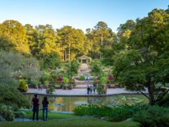 View of the Sarah P. Duke Gardens, a botanical garden within Duke University in Durham, NC.