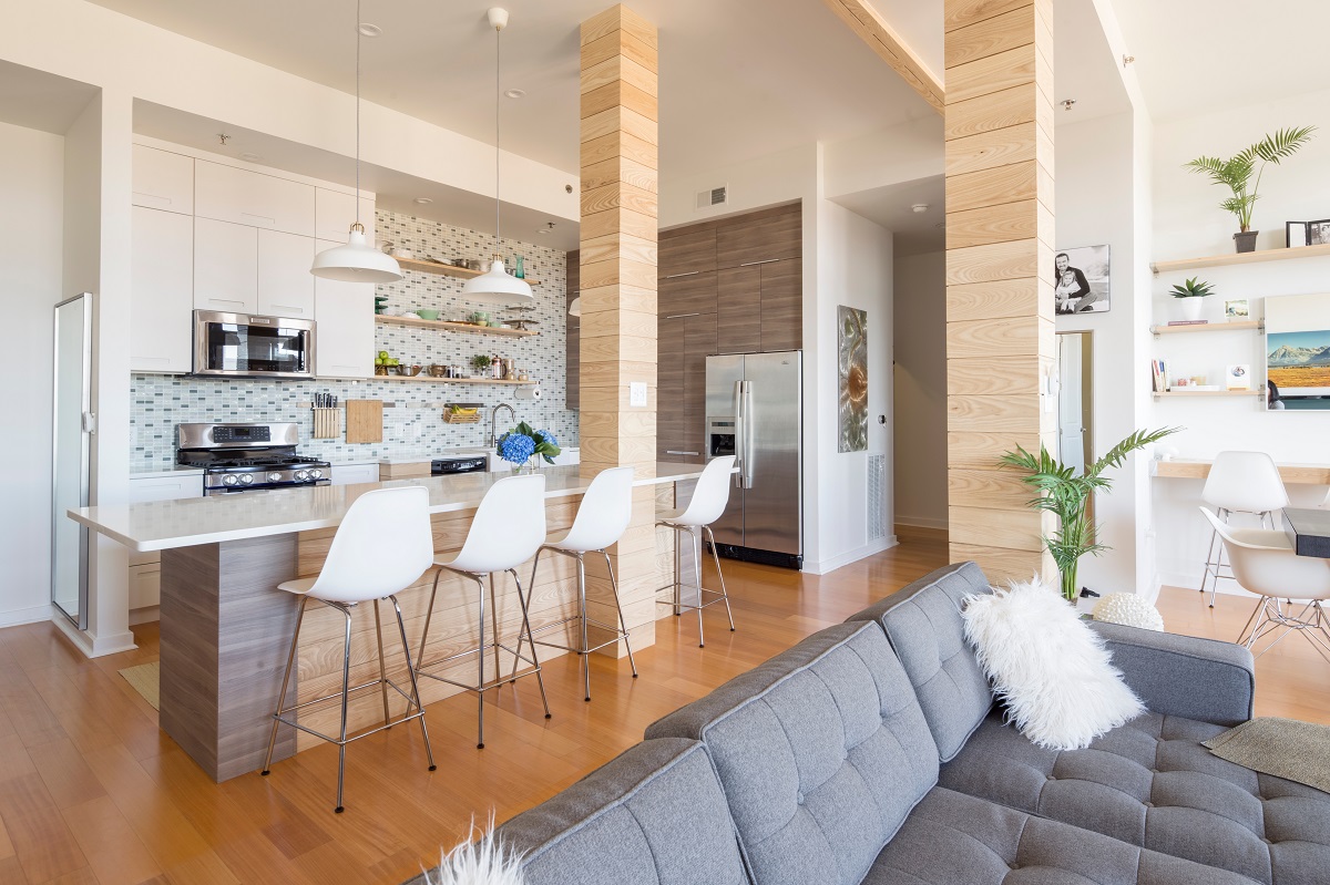 Modern penthouse kitchen in a condo with bright light and plants.