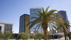View of downtown Tucson, Arizona, including palm trees and high-rise buildings.