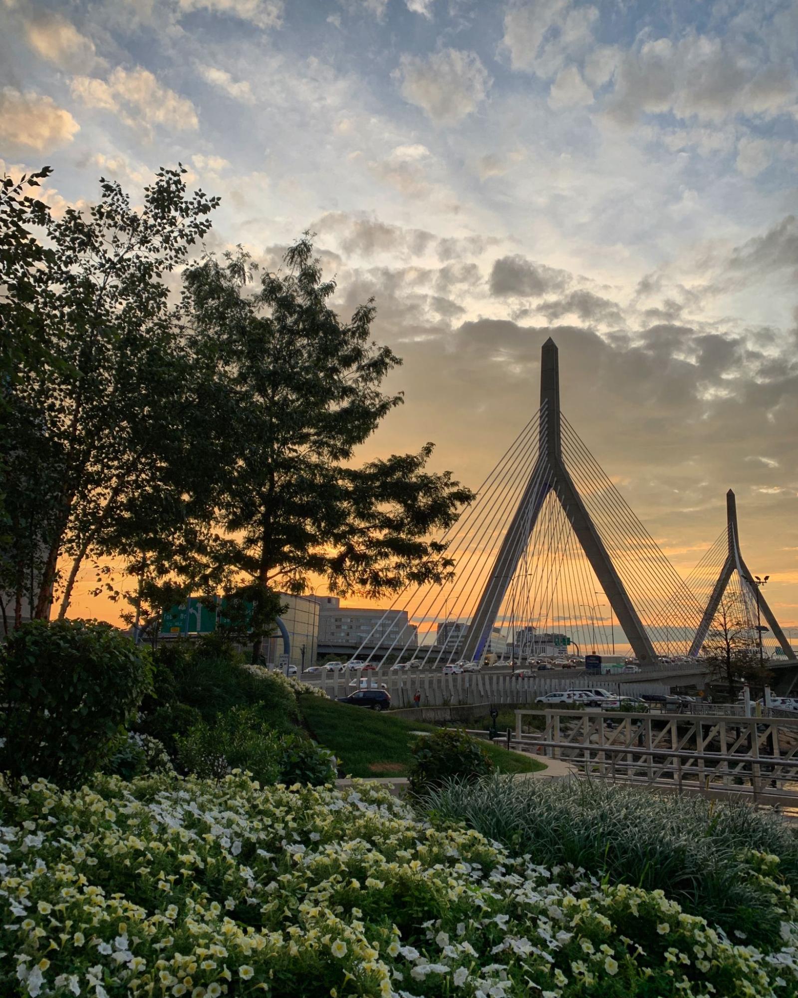 Sunset view of the Zakim Bridge in Boston, Massachusetts