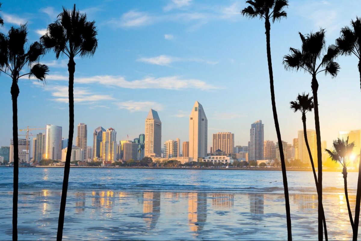 Skyline view of San Diego framed by palm trees.