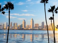 Skyline view of San Diego framed by palm trees.
