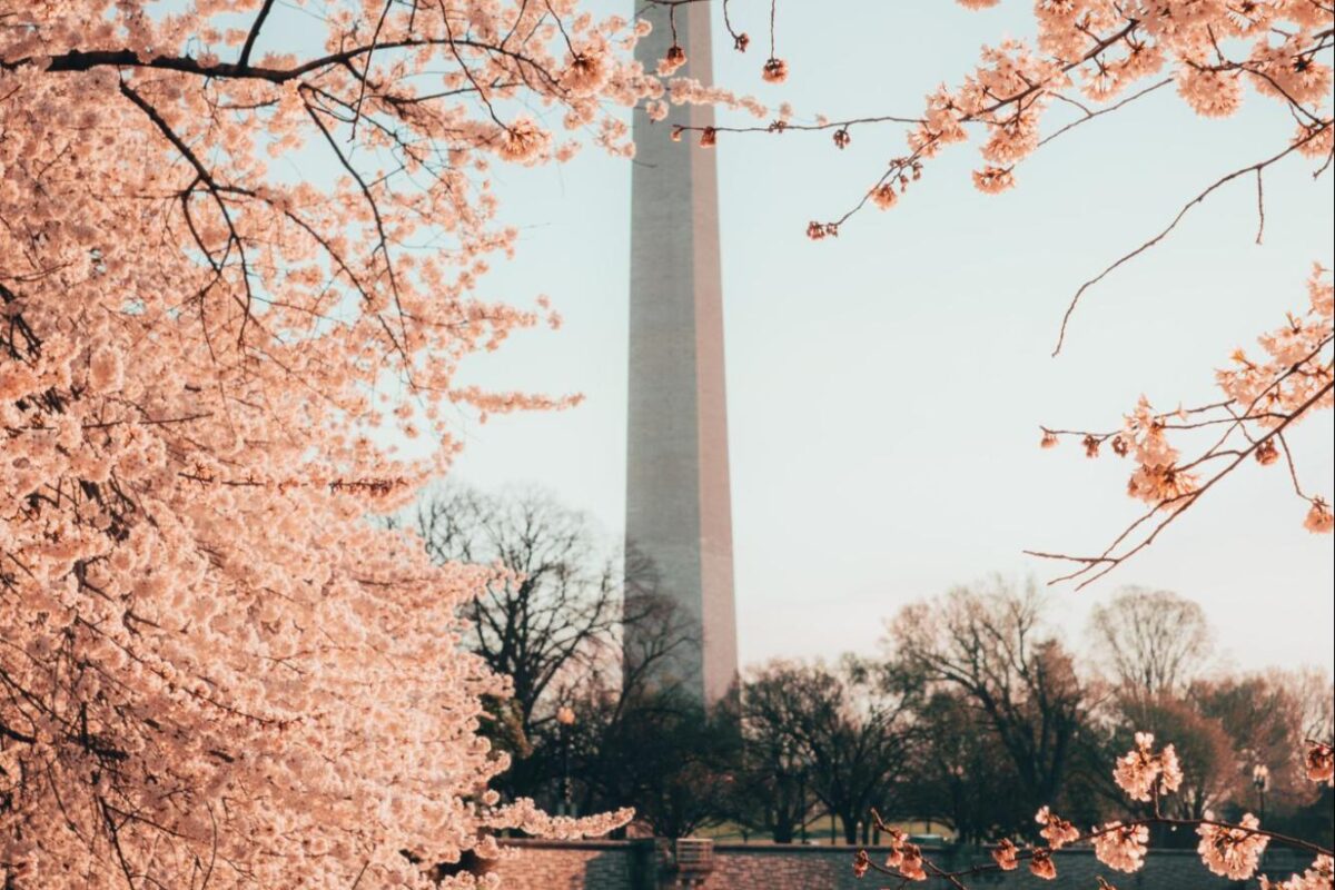 View of the cherry blossoms and Washington Monument over the Tidal Basin in Washington, D.C. during spring.