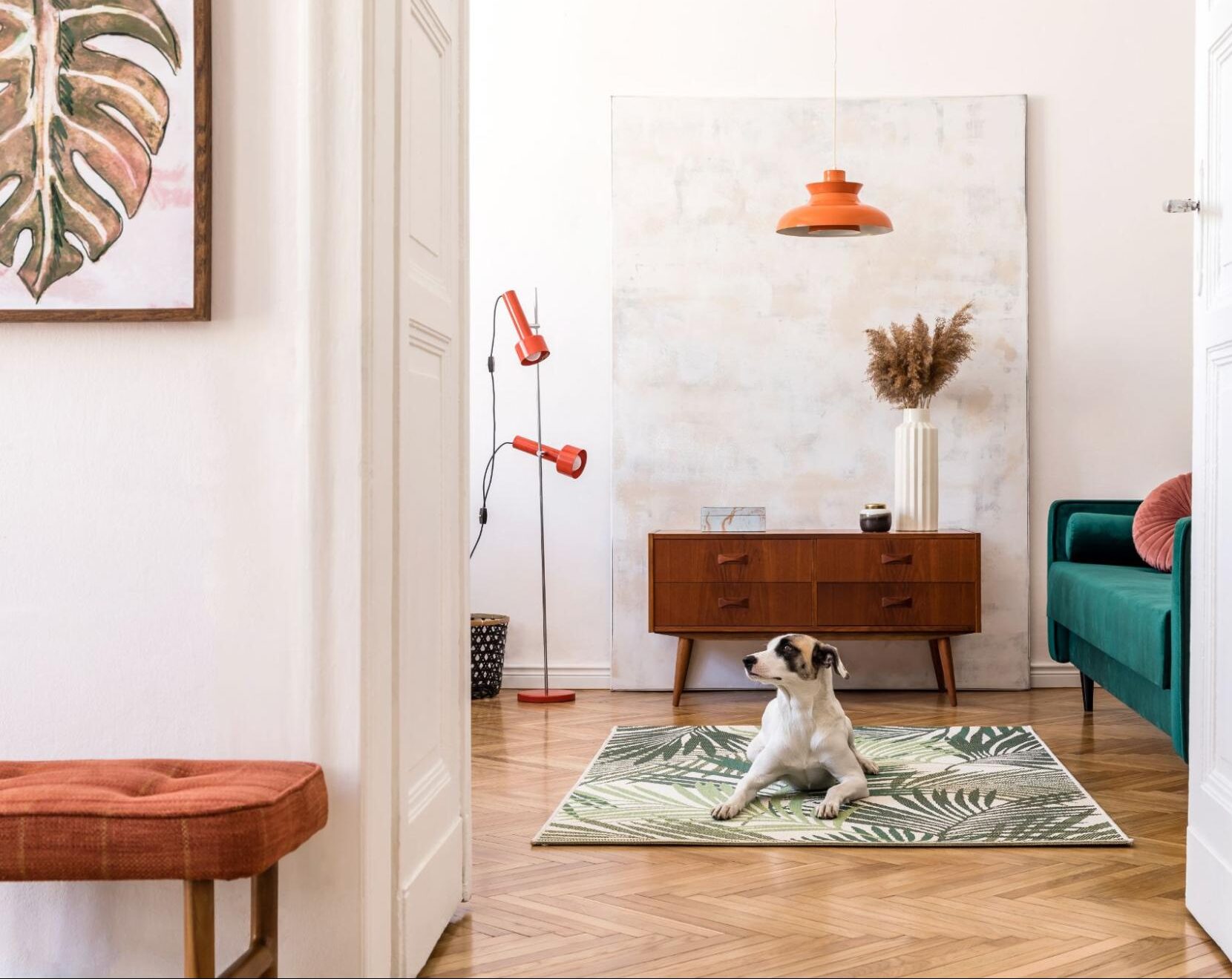 How To Keep Dog From Rubbing On Furniture