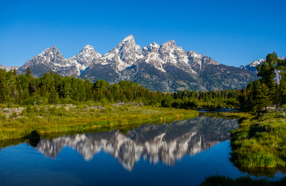 Schwabacher landing in early morning with its reflection. Grand Teton national park, WY