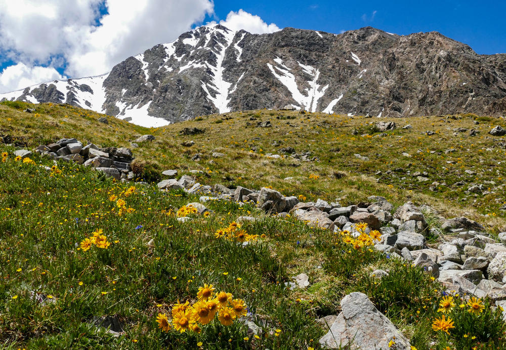 Torreys Peak in Colorado Rockies