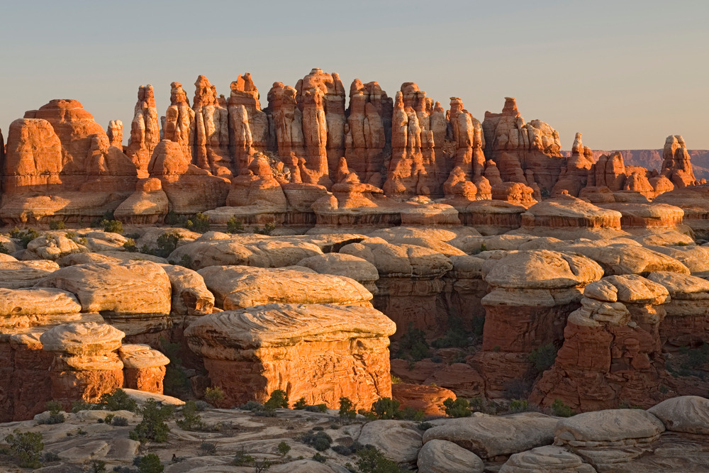 UT, Canyonlands National Park, The Needle Rock spires and grabens at Chester Park