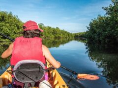 Kayaking through the Everglades swamp in Florida, USA