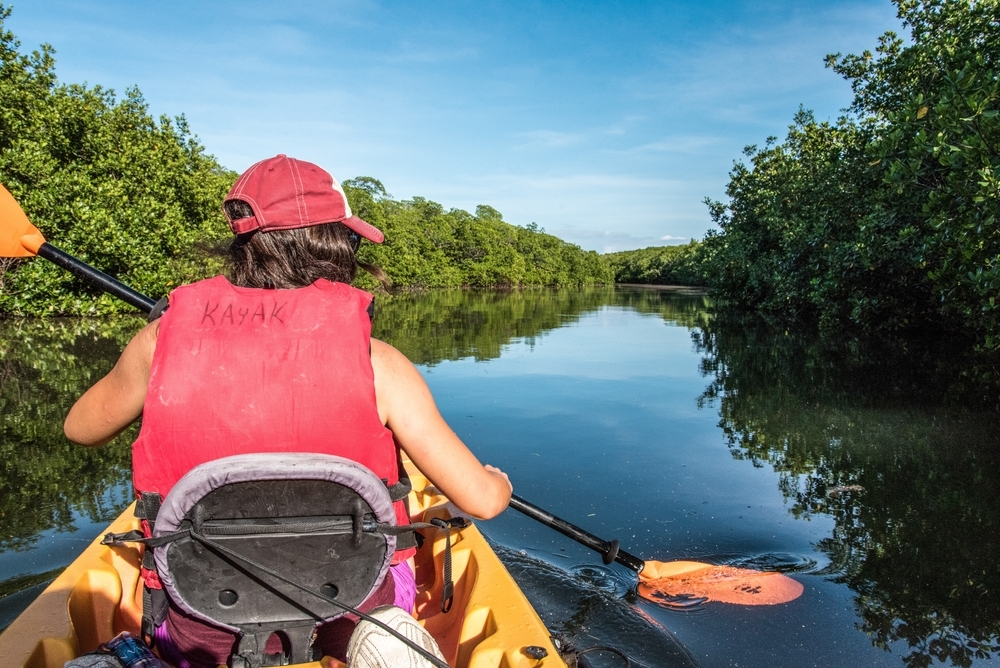 Kayaking through the Everglades swamp in Florida, USA