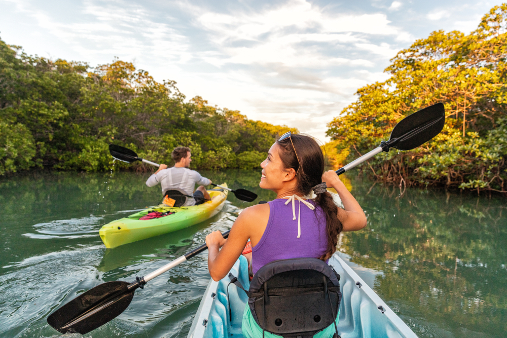 Couple kayaking together in mangrove river of the Keys, Florida, USA. Tourists kayakers touring the river of Islamorada.