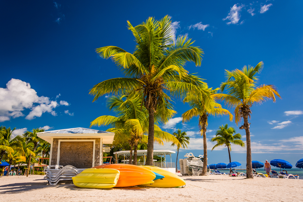 Palm trees on the beach in Key West, Florida. Palm trees on the beach in Key West, Florida.