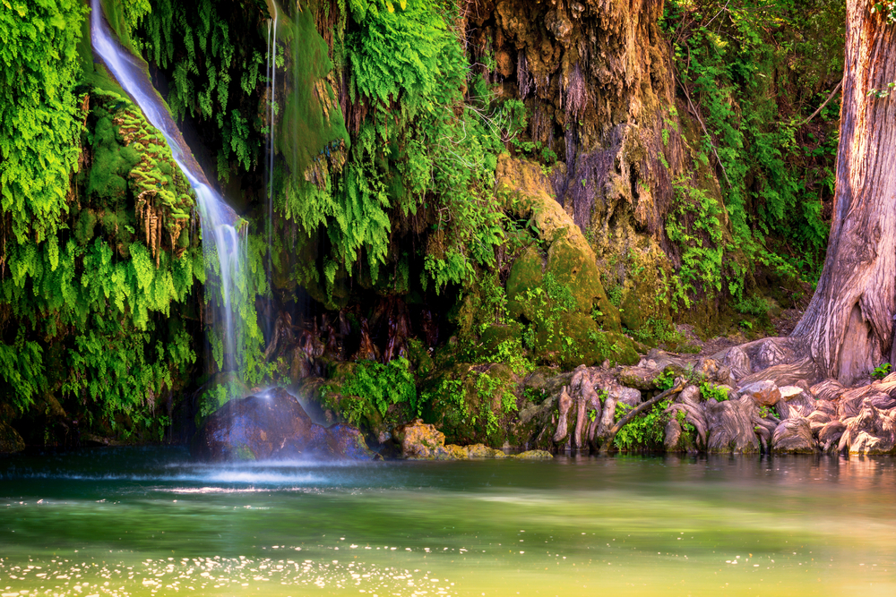 A serene waterfall flowing into a natural spring in the Texas Hill Country at Krause Springs, a popular camping and swimming spot.