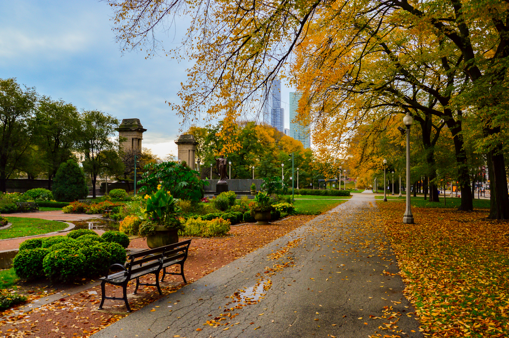 Autumn in Grant Park, Chicago, with colored leaves on the trees