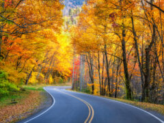 A beautiful roadway with fall foliage near the best cities in the U.S. to spend the fall.