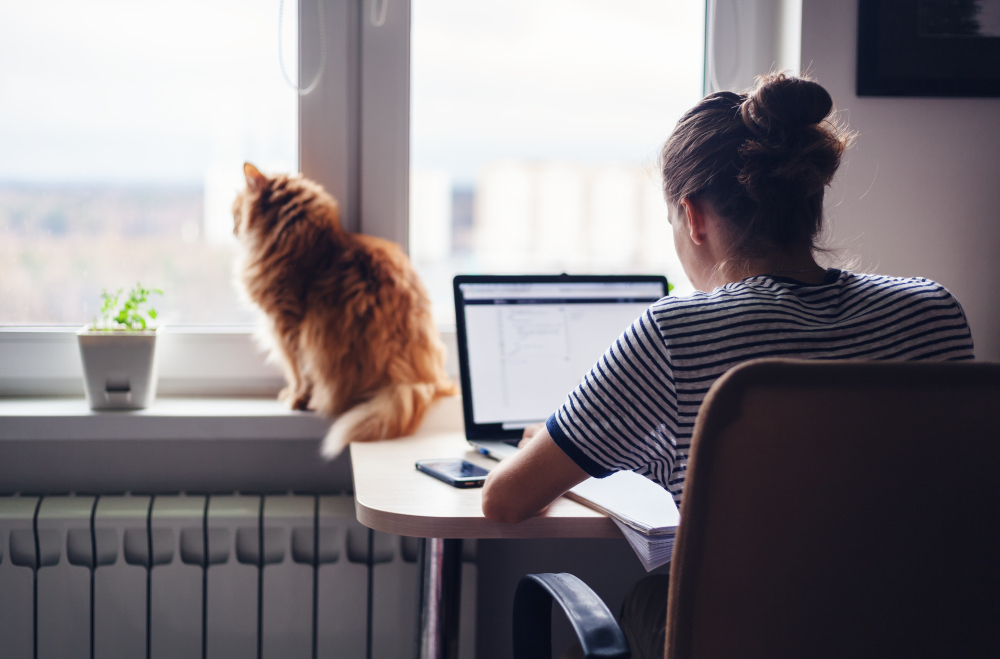 12 Major Benefits of Working From Home
