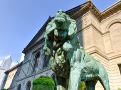 The lion statue at the Art Institute of Chicago, one of the best museums in Chicago.
