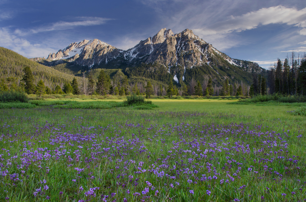 USA, Idaho. McGown Peak Sawtooth Mountains.