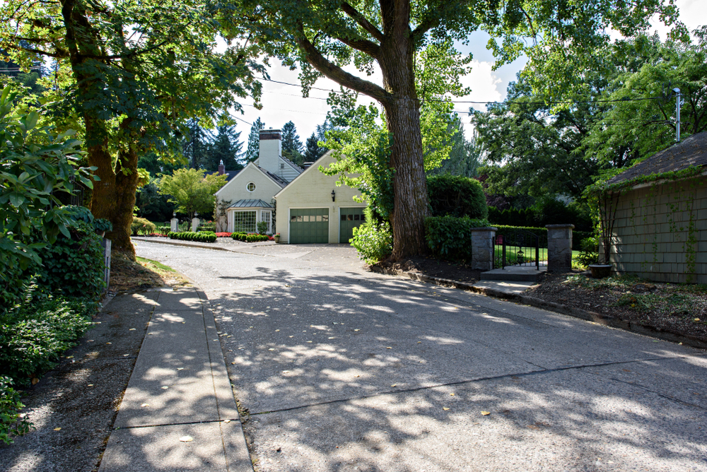 A Road in the Neighborhood of SW Portland