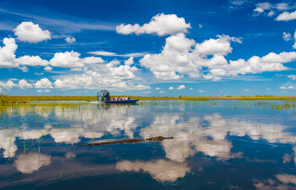 Blue skies are reflected in the still waters of the everglades while tourists take airboat rides to visit aligators in the wild