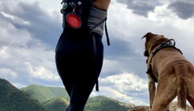 Landing member Jess Goudreault and her dog tackle easy hikes in Denver.