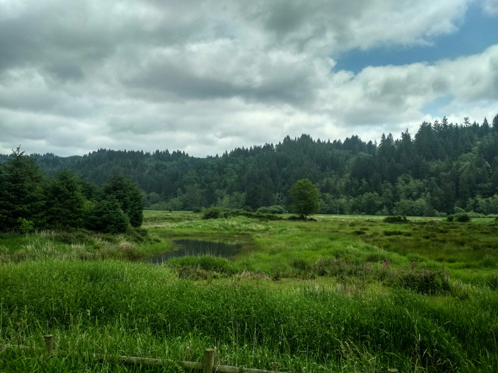 Landscape of Elk Meadows in Oregon, United States