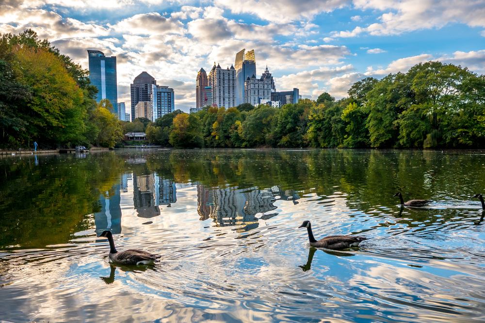 Skyline and reflections of midtown Atlanta, in Lake from Piedmont Park, Early Evening sunset, with Geese
