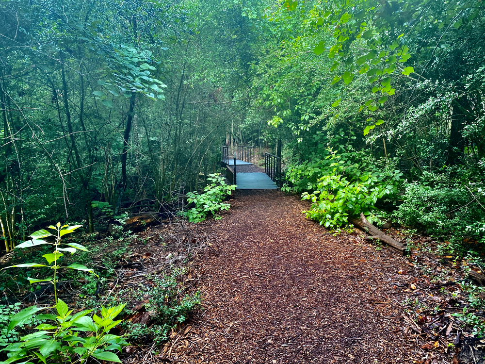 Houston Arboretum & Nature Center - Ravine Trail
