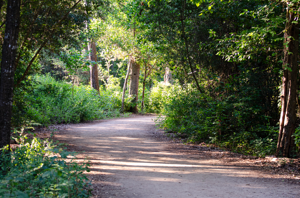 Houston Arboretum nature walking trail