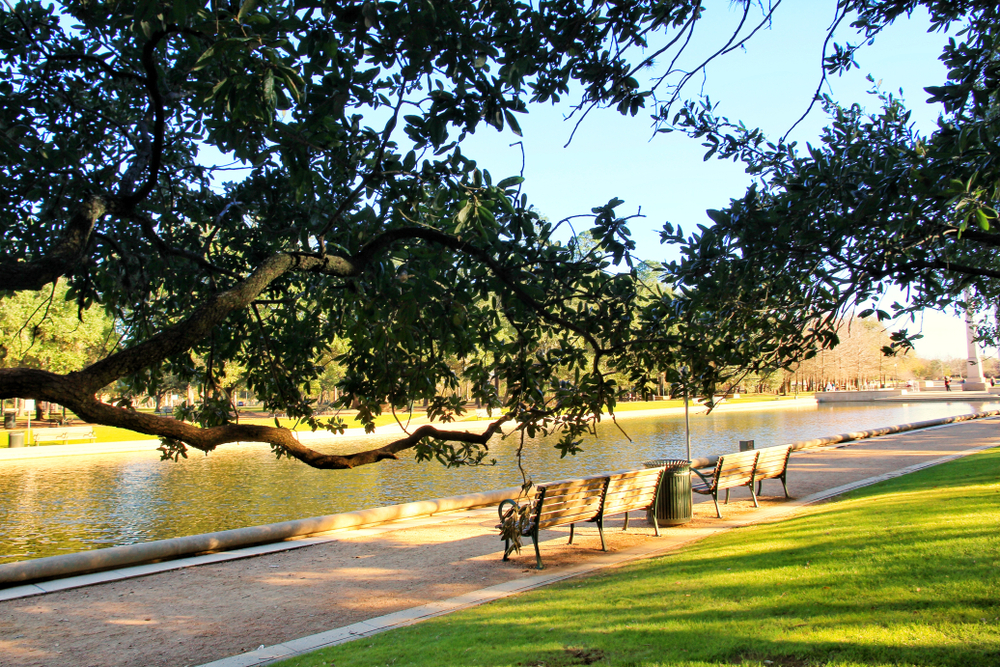 Wooden bench under trees in the Hermann Park, Houston Texas 
