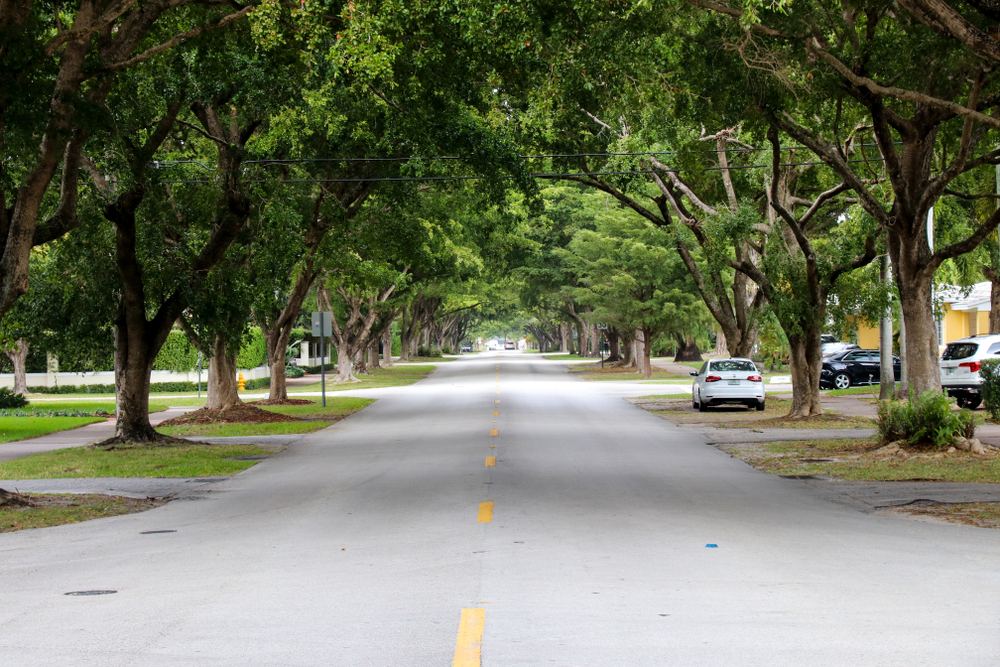 A road in Coral Gables, Miami, Florida A road in Coral Gables, Miami, Florida
