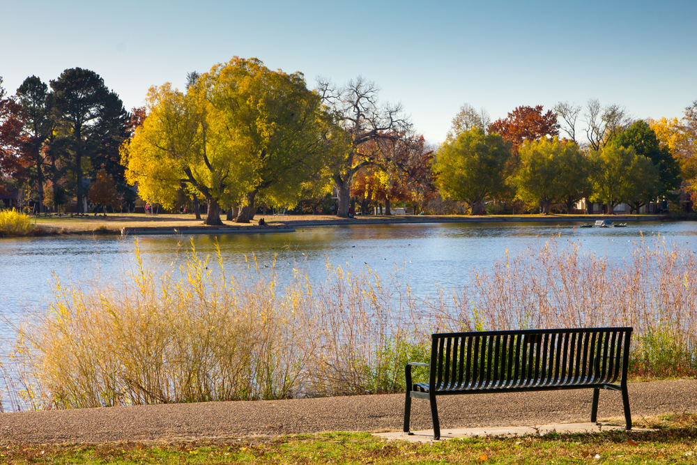 Empty bench by lake with Fall trees in Washington Park, Denver, Colorado