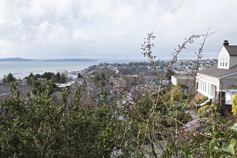 Queen Anne Neighborhood View of Puget Sound