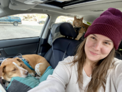 Landing member Jess and her pets travel to their new digital nomad destination in the car.