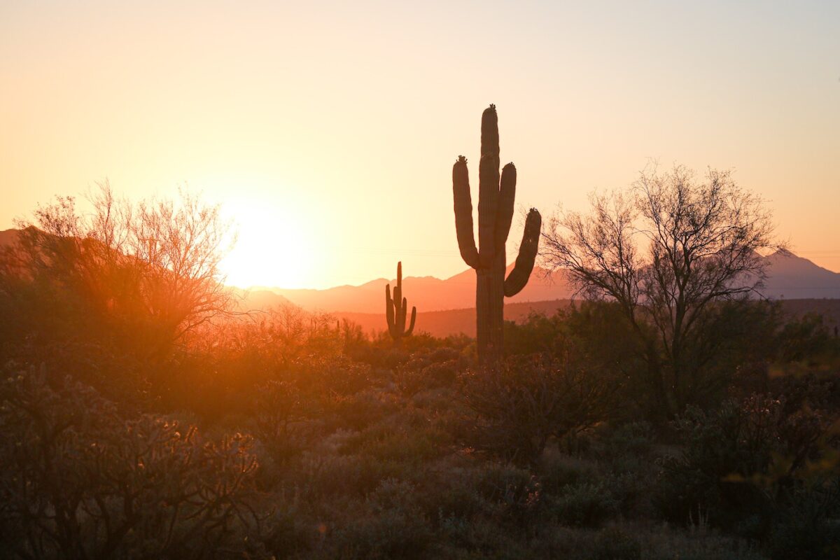 Desert view of Phoenix, Arizona