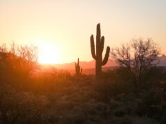 Desert view of Phoenix, Arizona