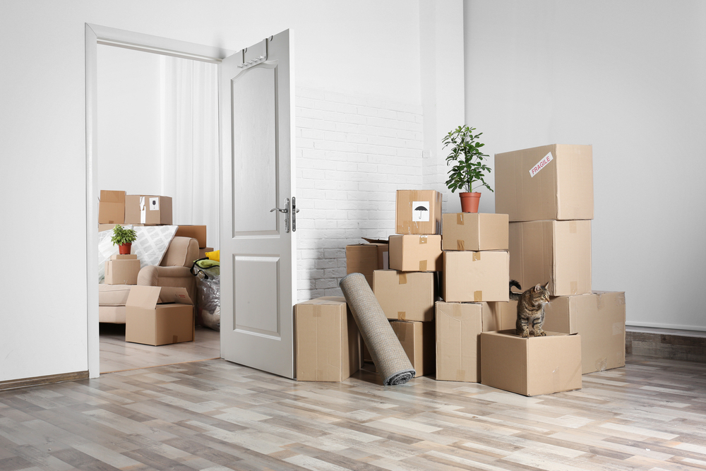 A view through a doorway of two rooms with large piles of cardboard boxes.