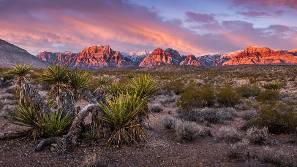 Sunrise at Red Rock Canyon, Nevada Sunrise at Red Rock Canyon, Nevada